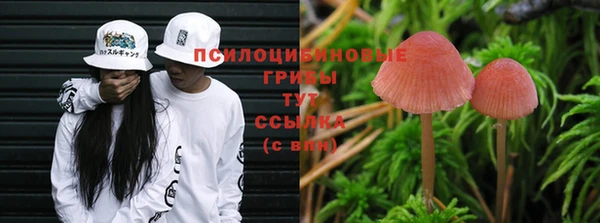 метадон Богородицк
