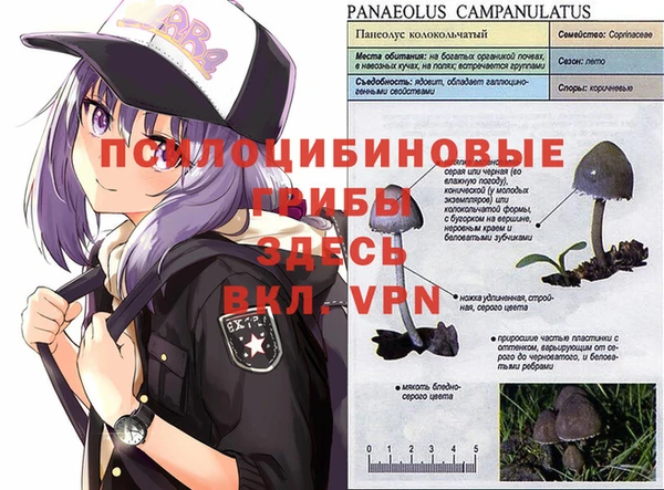 альфа пвп VHQ Беломорск