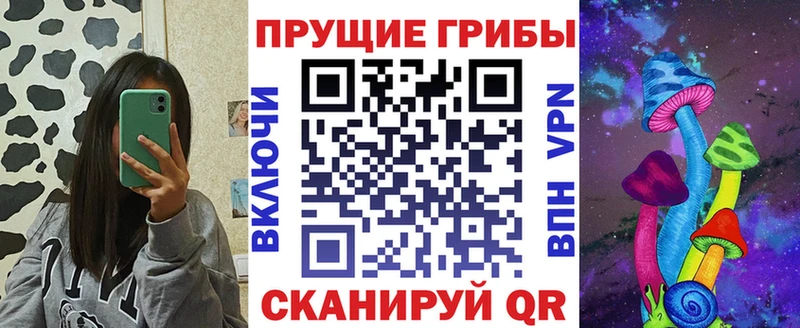 KRAKEN вход  Богучар  Галлюциногенные грибы Magic Shrooms 